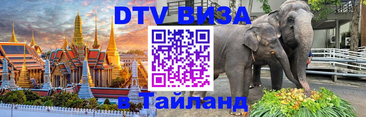 Сколько стоит DTV виза — актуальные цены, оформление даже без документов - Астана  19.11.2025 